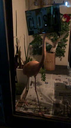 『アトリエのある背中』。の記事動画