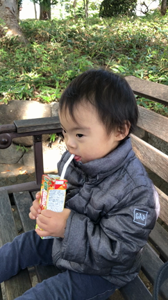 うん、はい、んま！”2才11ヵ月はじめての言葉”の記事動画