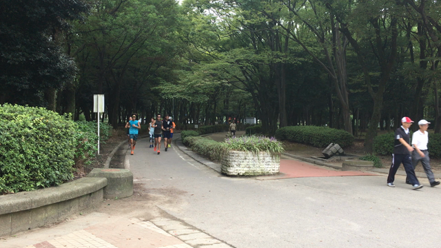 ザ、男の朝練 2の記事動画