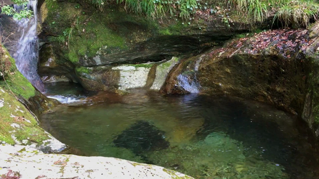 吐ききる呼吸で脱力　〜就寝前のリセット呼吸☆〜の記事動画