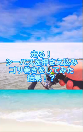 シーバス釣りがしたくな〜るの記事動画