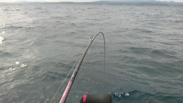 へぼ釣り放浪記