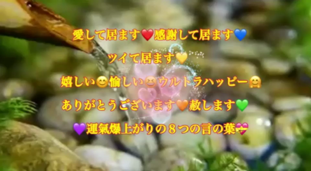 Rainbow10月〜12月有料記事の記事動画