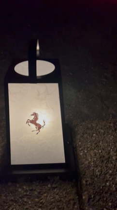 フェラーリプロサングエジャパンプレミアの記事動画