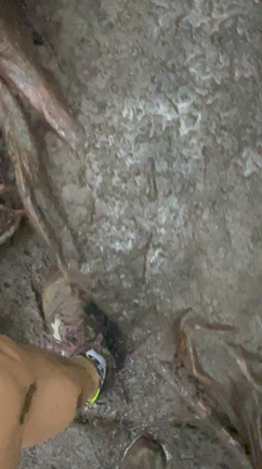 丁寧に生きるの記事動画