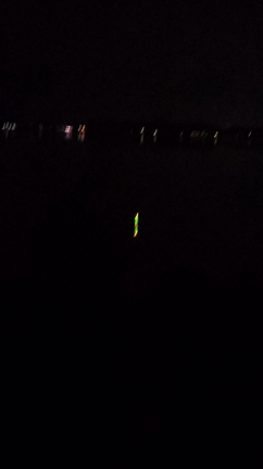 2月18日、霞ヶ浦。数の新記録更新！の記事動画