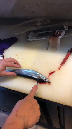 グルチャはモーメンツと何がちゃうん？の記事動画