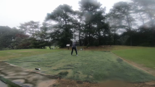 パッティングが…の記事動画