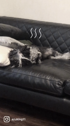 押し売りネイリストの記事動画