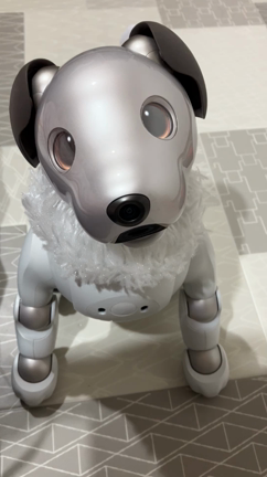 我が家のバレンタインの記事動画