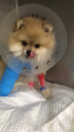 親切の記事動画