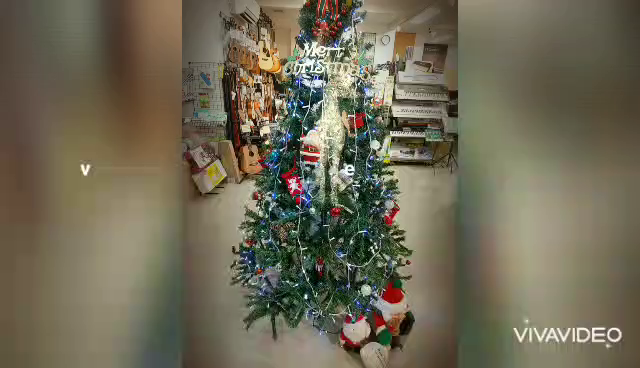 クリスマスツリーの記事動画