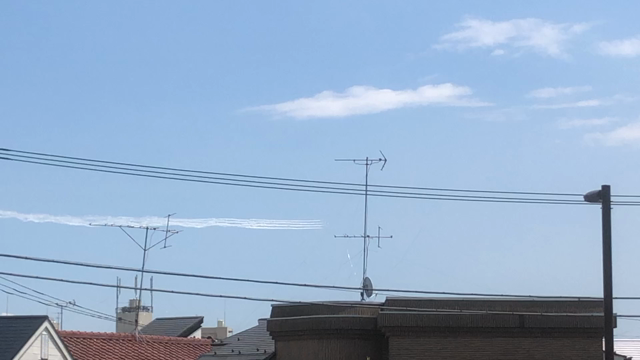 ブルーインパレスの記事動画