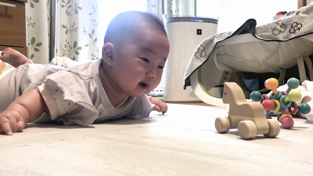 【お嬢にっき】遊びスペース拡張だよ♪ 生後128日の記事動画