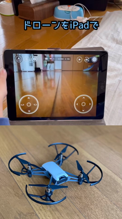 娘の入園の記事動画