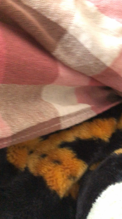 フミフミの記事動画