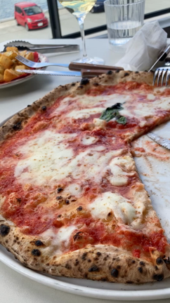 らちゃま銀杏への記事動画