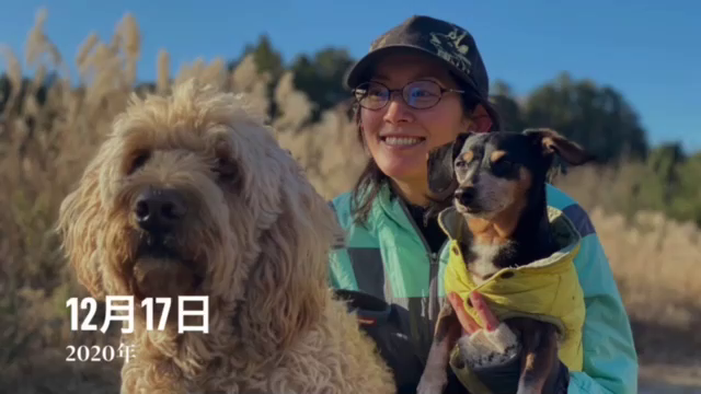 おおおお久しぶりですの記事動画