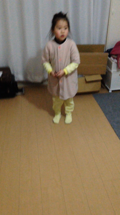 ハリケンリリーの記事動画