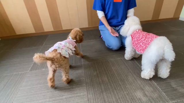 あっという間に10月！の記事動画