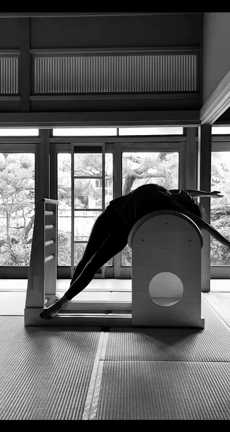 ピラティス自主練の記事動画