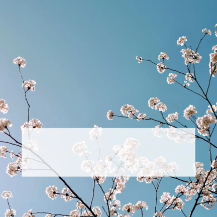 4月おうちファイリング®️講座募集開始（土曜開催もあるよ）の記事動画