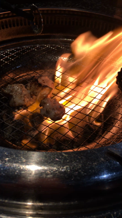 大好きな火の記事動画