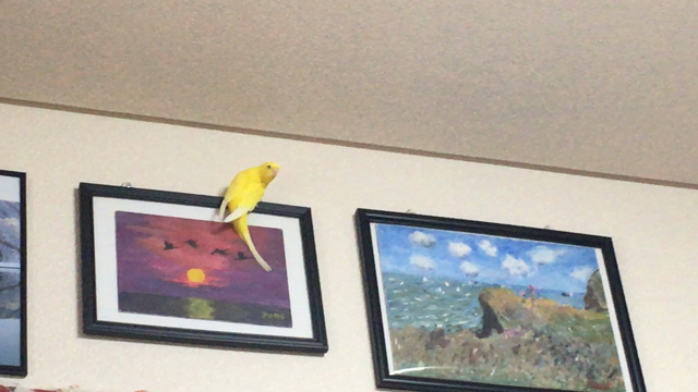 ペリーの記事動画