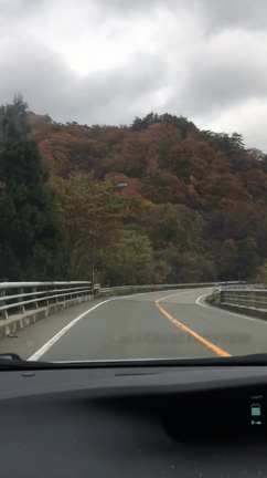 連休 京都2日目の記事動画