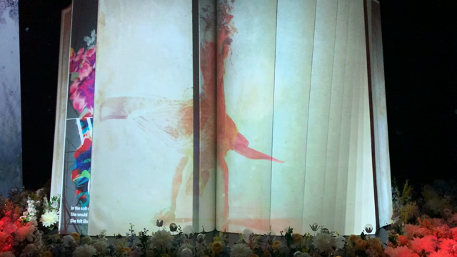 FLOWERS❁⃘*.ﾟの記事動画