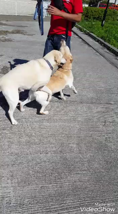 私の初めてには。。。の記事動画