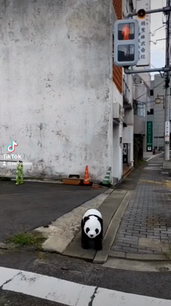 日本一短い？の記事動画