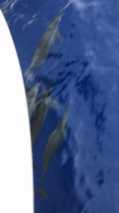 旅行②byゆきえの記事動画