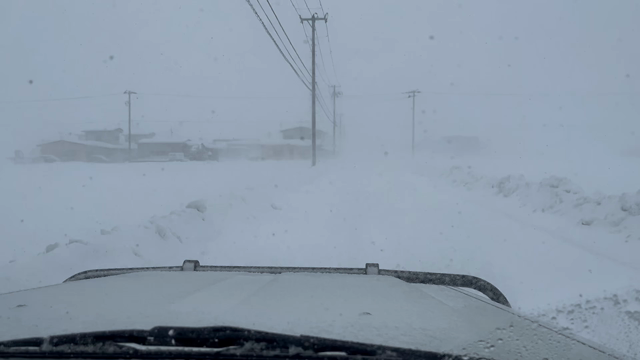 毎日のパンの記事動画