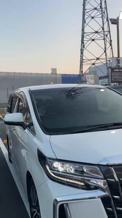 またやられてしまいましたの記事動画