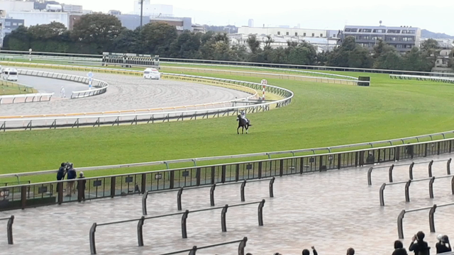 天皇賞の記事動画