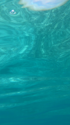 SAYURIちゃんがやって来た！の記事動画