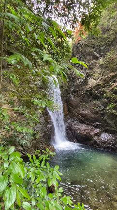 自主トレの記事動画