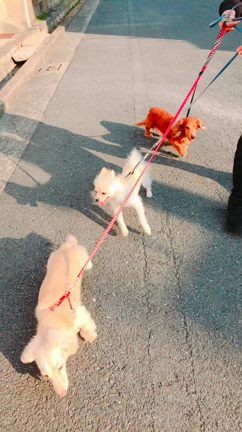 2018.3.25の記事動画