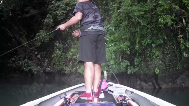 ルアーを引くコースについて。の記事動画