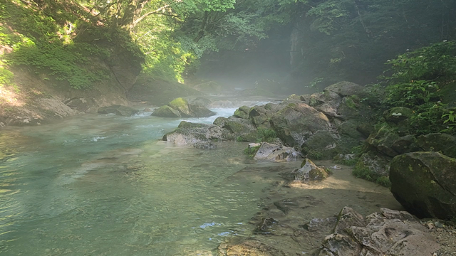 那須までドライブの記事動画