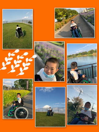 公園の記事動画