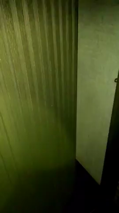 （画像修正済み）もはや日本といえばコレ！の記事動画