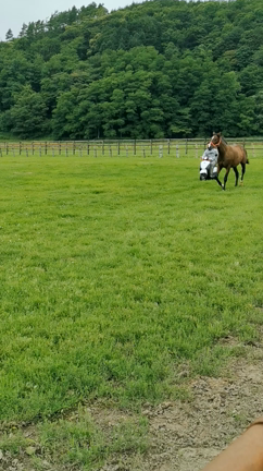 うちの馬が出るよ～！(今年度59走目)の記事動画