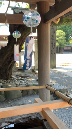 天赦日に神奈川の伊勢山皇大神宮にご参拝しましたの記事動画