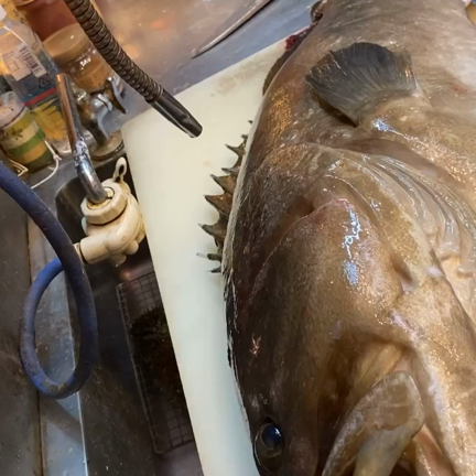 天然本クエ　大阪上本町ミナミ、個室で接待美味しい和食のお店の記事動画