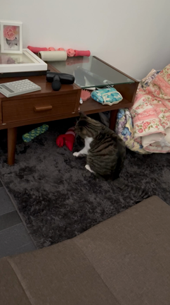 12460！最高の歯ブラシ！【今日の琥珀】動画回の記事動画