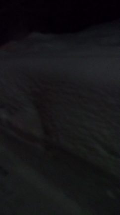 祈願の記事動画