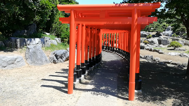 鳥居がたくさんの記事動画