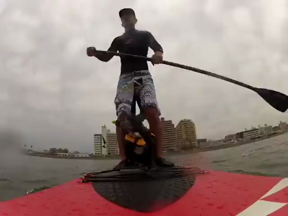 ドン・ウォーターマンの記事動画